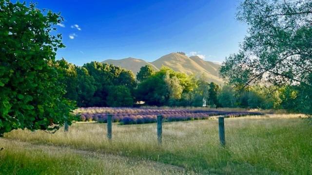 ネルソン Quail Farm, Colonial Charm Bed & Breakfast エクステリア 写真